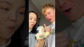 ЧИКЕН НАГИНС ИЗ ЖИВОЙ КУРОЧКИ?? #китай #какприготовить #еда #курица
