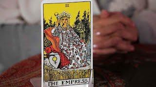 How to Read the Empress Card | Tarot Cards