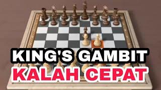 MENAG CEPAT Kings Gambit dapat dikalahkan dengan cepat juga