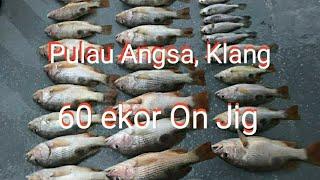 Pulau Angsa, Klang | 60 ekor | Micro Jigging | Ultralight Fishing Malaysia AmriVlog#8