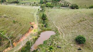 sitio 21 hectares escritura em Tamandaré PE sercado casa sede porteira fechada 11 bois $800 mil