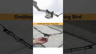 Ornithopter Wing | Flying Bird Mechanism  #robotics #mechanical #mechanism #flyingbird #cadcam #3d