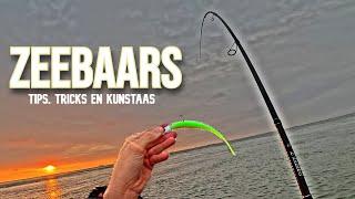 ZEEBAARS vissen POV: TIPS, TRICKS en KUNSTAAS onthuld. Zo vang je meer BAARS!