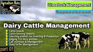 Dairy cattle management lessons presentation Agriculture Notes for higher education degree diploma