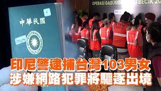 印尼警逮捕台灣103男女 涉嫌網路犯罪將驅逐出境