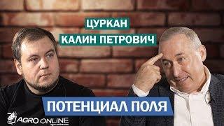 Потенциал поля | Агробизнес без цензуры