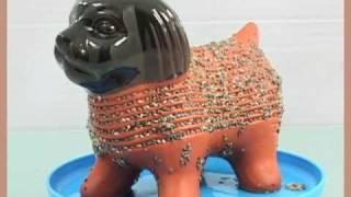 Chia Pet Time Lapse (Puppy)