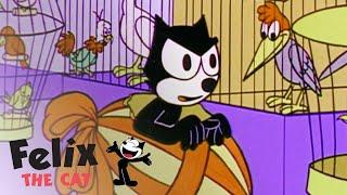 Trapped Inside an Easter Egg | Felix The Cat | Full Episodes