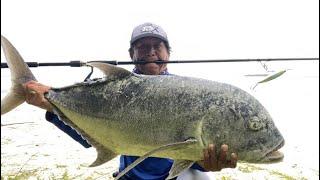 landed 28.8 lbs GT @ micro fishing spot with Maria stick bait. ( Saipan, USA)