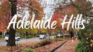 5 Must-Visits in Adelaide Hills