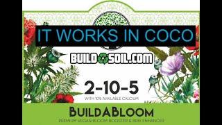 #buildasoil BUILD A BlOOM Works Amazing￼￼ IN Coco Coir ￼(S3Ep.8)