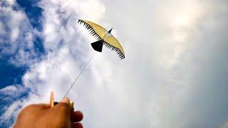 How to make a wau eagle kite from a coconut stick