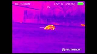 Armasight Zeus Pro 640 50mm Thermal Weapon Scope - Big Boar Kill
