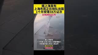 上海排队出国，1个月受理38万证件，历史新高！