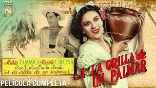 A la Orilla de un Palmar (1937) | Tele N | Película Completa