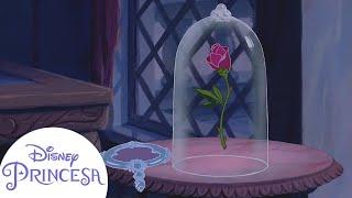 ¿Cómo empiezan los relatos de las historias de Princesas? Compilado | Disney Princesa