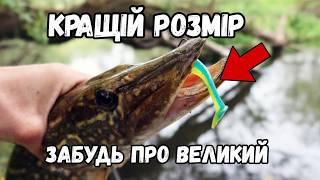 Маленькі приманки для щуки: секрет успіху рибалки! Маленький силікон: чому це найкращий вибір?