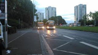 Lignes de bus Strav b|Heuliez GX 337