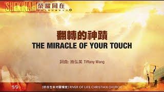 翻轉的神蹟 The Miracle of Your Touch（生命河敬拜讚美系列 8「Shekinah榮耀同在」)  小組敬拜用