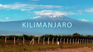 Kilimanjaro - The Rainforest Trek | Africa’s Highest Mountain | Tanzania | EP1