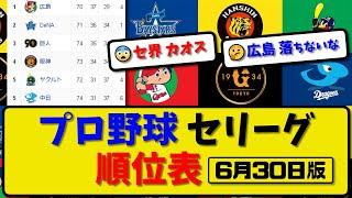 【最新】プロ野球セ・リーグ順位表 6月30日版｜ヤク6-5阪神｜中日3-0横浜｜巨人3-2広島｜【まとめ・反応集・なんJ・2ch】