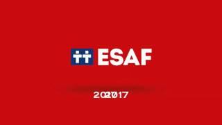 The evolution of ESAF brand identity from 1992 to 2017