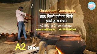 Shuddham A2 Ghee Full Bilona Process | 800 किलो दही को कैसे बिलोया जाता है |