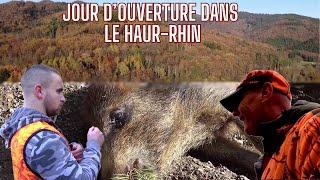 Journée d'ouverture en Alsace : des battues animées! (sangliers, cerf,chevreuils)//Wildboar hunting