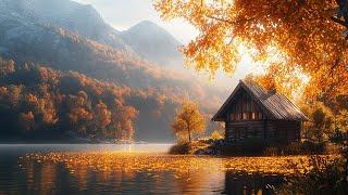 November Autumn Scenery with Peaceful Relaxing MusicInstant Relief from Anxiety & Stress ~ Healing