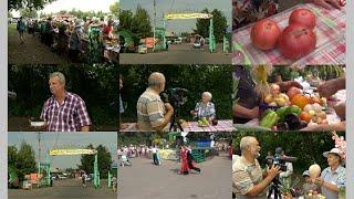 Зелёный остров