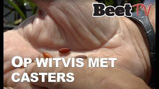 Witvissen met de vaste hengel en casters in een poldersloot  |  Beet