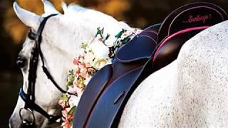 COUNTY SADDLERY - CUSTOM SADDLES & OPTIONS