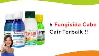 5 Fungisida Sistemik Cair Terbaik Atasi Semua Penyakit Tanaman Cabe