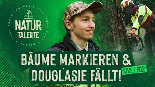 Buchen markieren und dicke Douglasien fällen! | #NATURTALENTE Folge 2 | Staffel 2