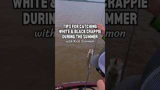 Tips for catching #whitecrappie & #blackcrappie during the summer. #crappienow #crappiefishing