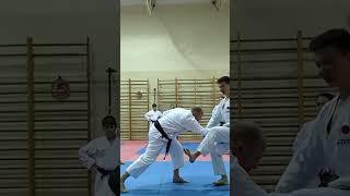 Kihon: elbow down, weight down