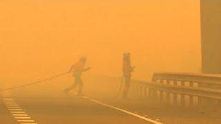 Nivel de alerta 2 en el fuego de Málaga: 5.000 hectáreas quemadas y 1.000 evacuados