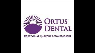 Стоматология Ortus Dental презентация