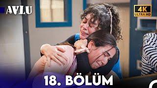 Avlu 18. Bölüm (4K)
