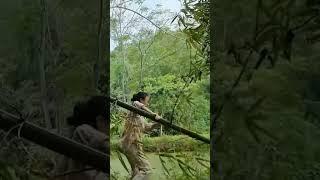 Cut bamboo to build a house #thuthuy #survival #nature #thuthuy