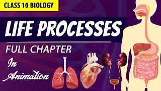 life processes class 10 science biology (Animated video) | 10th CBSE | ncert #science | Chapter 6