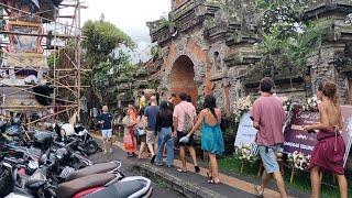 PERSIAPAN KARYA PELEBON H - 7 & BANYAKNYA WISATAWAN MANCA NEGARA BERKUNJUNG KE PURI AGUNG UBUD, 2024