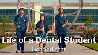 Life of a Second Year Dental Student - Morgan & Elaine