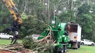 Raw footage Bandit 20XP-HD whole tree chipper in Australia
