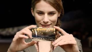 Panasonic LUMIX TZ20 Commercial