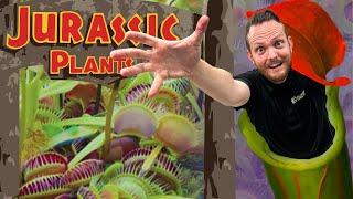 Top 10 Must Have Carnivorous Plants: Nepenthes + Fly Traps + Sundews