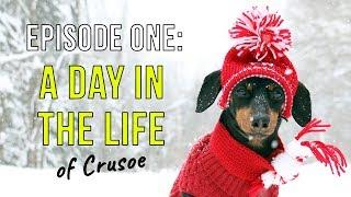 Episode One: A Day in the Life of Crusoe