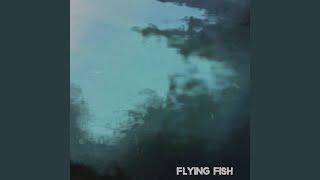 Flew