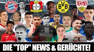 UNDAV ALTERNATIVE! FINALES VFB ANGEBOT! - FCB NEWS UPDATE! - BVB UGOCHUKWU? LEVERKUSEN UPDATE!