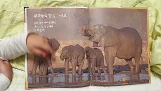 [책]코끼리 ㅣ 꿈느티TV